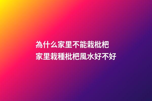 為什么家里不能栽枇杷 家里栽種枇杷風水好不好